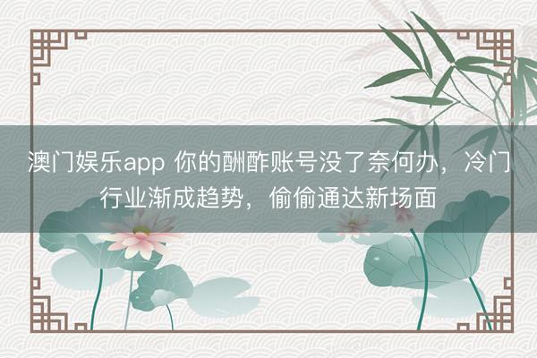 澳门娱乐app 你的酬酢账号没了奈何办,冷门行业渐成趋势,偷偷通达新场面