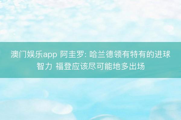 澳门娱乐app 阿圭罗: 哈兰德领有特有的进球智力 福登应该尽可能地多出场