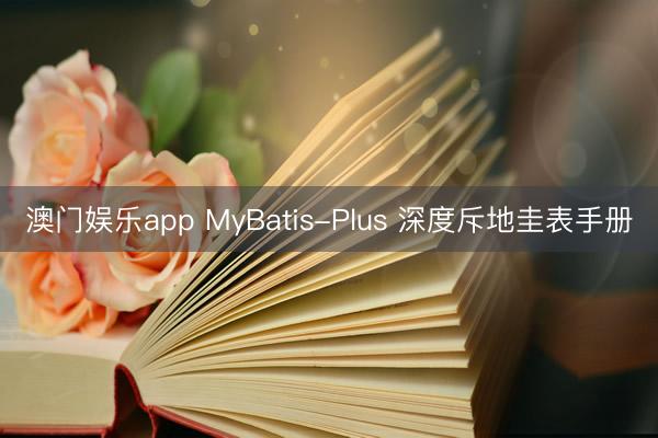 澳门娱乐app MyBatis-Plus 深度斥地圭表手册