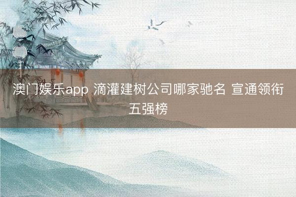 澳门娱乐app 滴灌建树公司哪家驰名 宣通领衔五强榜