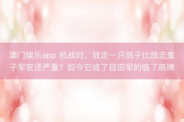 澳门娱乐app 抗战时，放走一只鸽子比放走鬼子军官还严重？如今它成了目田军的临了底牌