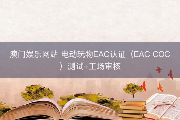 澳门娱乐网站 电动玩物EAC认证（EAC COC）测试+工场审核