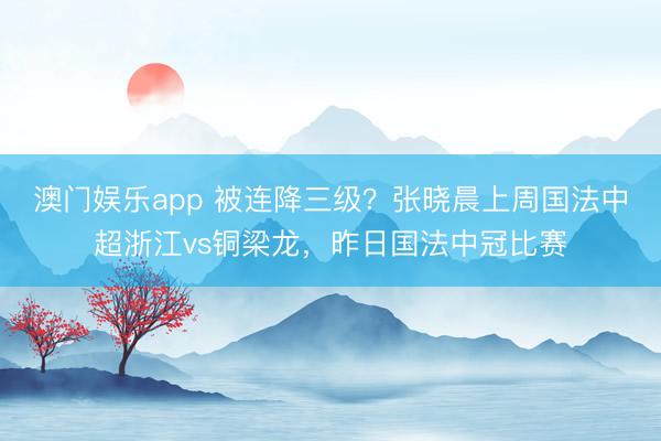 澳门娱乐app 被连降三级？张晓晨上周国法中超浙江vs铜梁龙，昨日国法中冠比赛