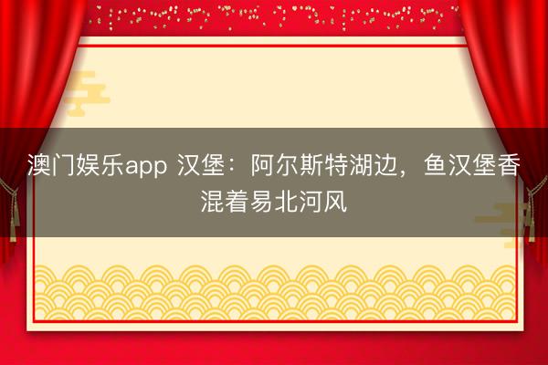 澳门娱乐app 汉堡：阿尔斯特湖边，鱼汉堡香混着易北河风