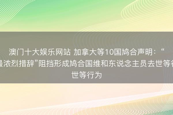 澳门十大娱乐网站 加拿大等10国鸠合声明:“以最浓烈措辞”阻挡形成鸠合国维和东说念主员去世等行为