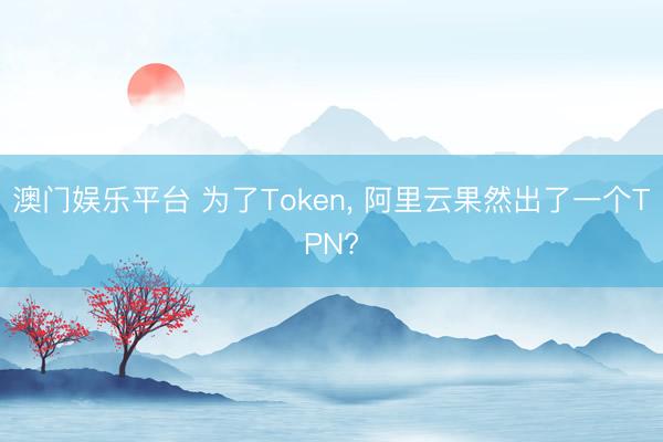 澳门娱乐平台 为了Token， 阿里云果然出了一个TPN?