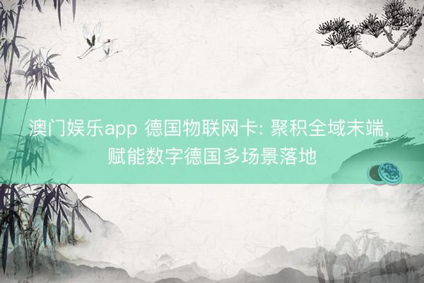 澳门娱乐app 德国物联网卡: 聚积全域末端， 赋能数字德国多场景落地