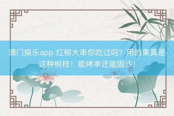 澳门娱乐app 红柳大串你吃过吗？用的果真是这种树枝！能烤串还能固沙！