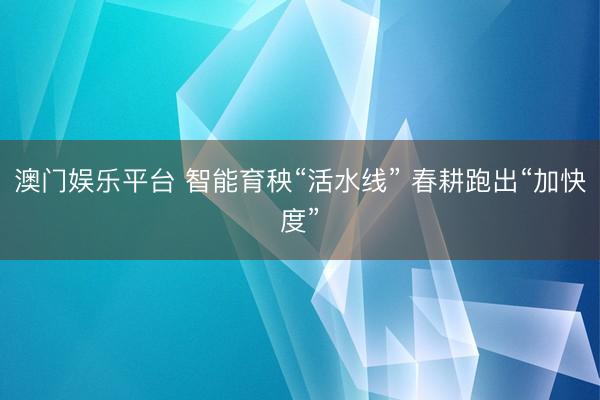 澳门娱乐平台 智能育秧“活水线” 春耕跑出“加快度”