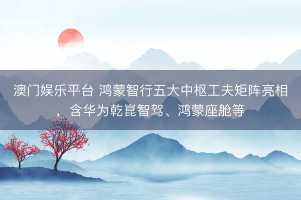 澳门娱乐平台 鸿蒙智行五大中枢工夫矩阵亮相，含华为乾崑智驾、鸿蒙座舱等