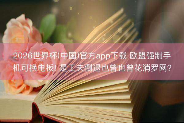 2026世界杯(中国)官方app下载 欧盟强制手机可换电板! 是工夫倒退也曾也曾花消罗网?