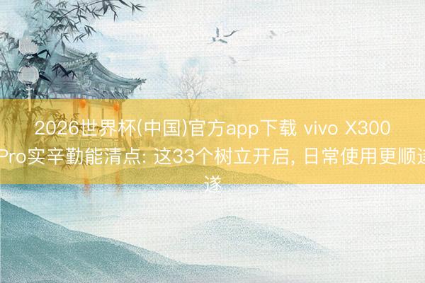 2026世界杯(中国)官方app下载 vivo X300 Pro实辛勤能清点: 这33个树立开启, 日常使用更顺遂