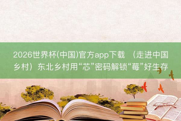2026世界杯(中国)官方app下载 (走进中国乡村)东北乡村用“芯”密码解锁“莓”好生存