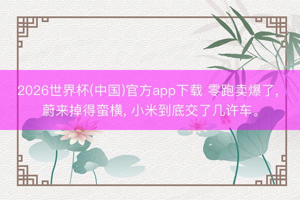 2026世界杯(中国)官方app下载 零跑卖爆了， 蔚来掉得蛮横， 小米到底交了几许车。