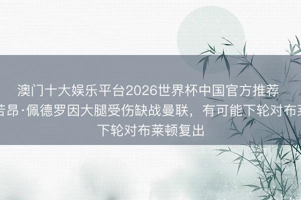 澳门十大娱乐平台2026世界杯中国官方推荐 记者：若昂·佩德罗因大腿受伤缺战曼联，有可能下轮对布莱顿复出