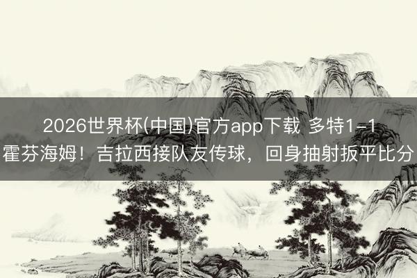 2026世界杯(中国)官方app下载 多特1-1霍芬海姆！吉拉西接队友传球，回身抽射扳平比分