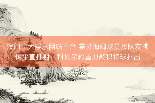 澳门十大娱乐网站平台 霍芬海姆球员接队友挑传平直抽射，科贝尔矜重力聚积将球扑出