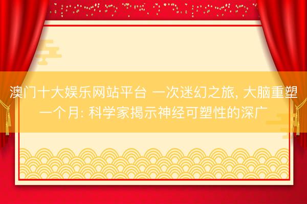 澳门十大娱乐网站平台 一次迷幻之旅， 大脑重塑一个月: 科学家揭示神经可塑性的深广