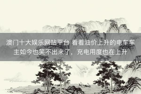 澳门十大娱乐网站平台 看着油价上升的电车车主如今也笑不出来了，充电用度也在上升