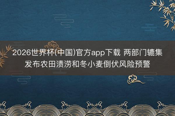 2026世界杯(中国)官方app下载 两部门辘集发布农田渍涝和冬小麦倒伏风险预警