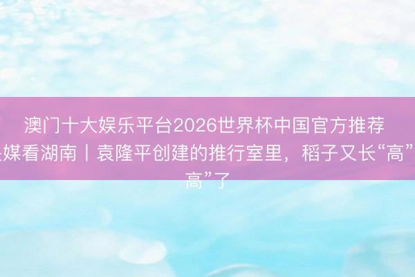 澳门十大娱乐平台2026世界杯中国官方推荐 央媒看湖南丨袁隆平创建的推行室里，稻子又长“高”了