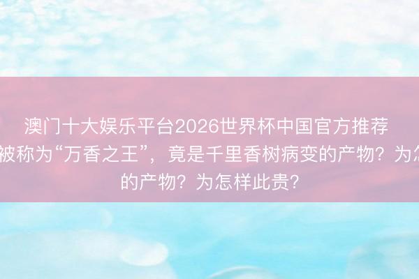 澳门十大娱乐平台2026世界杯中国官方推荐 千里香，被称为“万香之王”，竟是千里香树病变的产物？为怎样此贵？