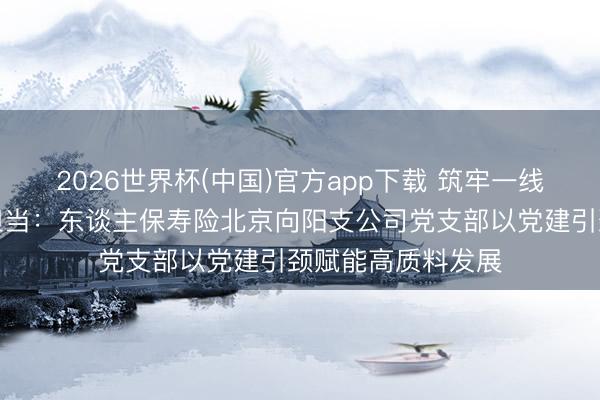 2026世界杯(中国)官方app下载 筑牢一线堡垒融业惠民显担当：东谈主保寿险北京向阳支公司党支部以党建引颈赋能高质料发展