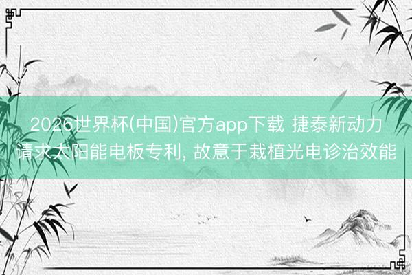 2026世界杯(中国)官方app下载 捷泰新动力请求太阳能电板专利， 故意于栽植光电诊治效能