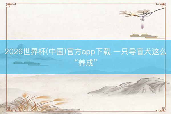 2026世界杯(中国)官方app下载 一只导盲犬这么“养成”
