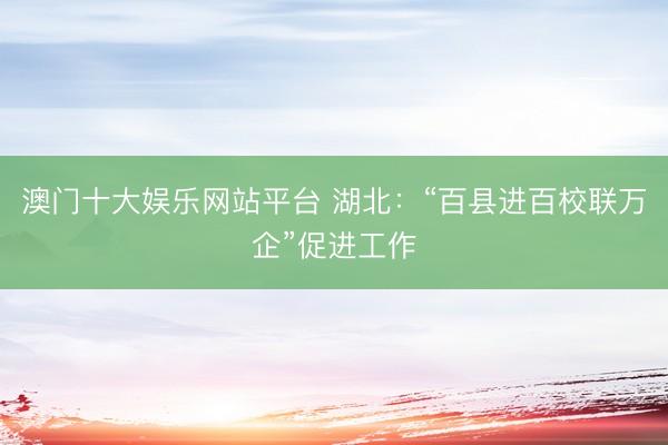 澳门十大娱乐网站平台 湖北：“百县进百校联万企”促进工作