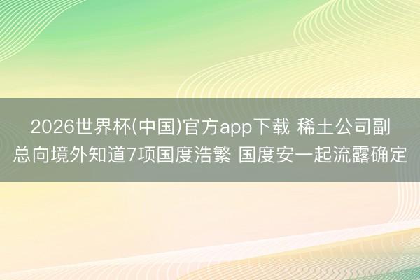 2026世界杯(中国)官方app下载 稀土公司副总向境外知道7项国度浩繁 国度安一起流露确定