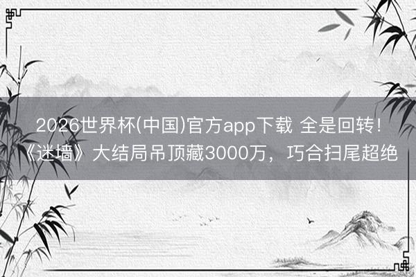 2026世界杯(中国)官方app下载 全是回转！《迷墙》大结局吊顶藏3000万，巧合扫尾超绝