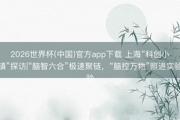 2026世界杯(中国)官方app下载 上海“科创小镇”探访|“脑智六合”极速聚链，“脑控万物”照进实验